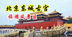 鸡巴插逼视频免费观看中国北京-东城古宫旅游风景区